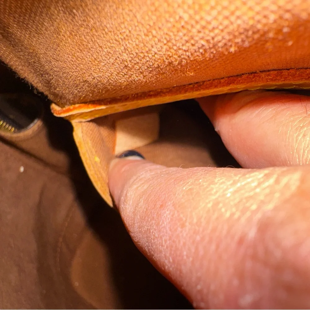 Louis Vuitton Classic Brown Satchel